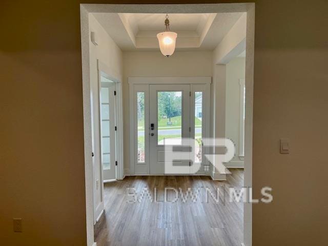 entryway with a raised ceiling and wood-type flooring