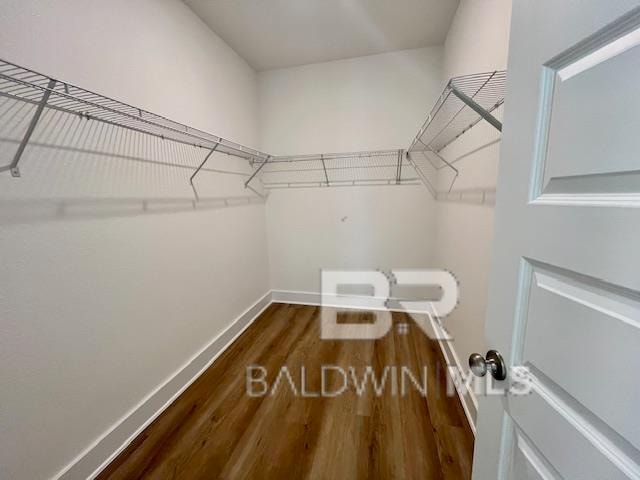 spacious closet featuring dark hardwood / wood-style flooring