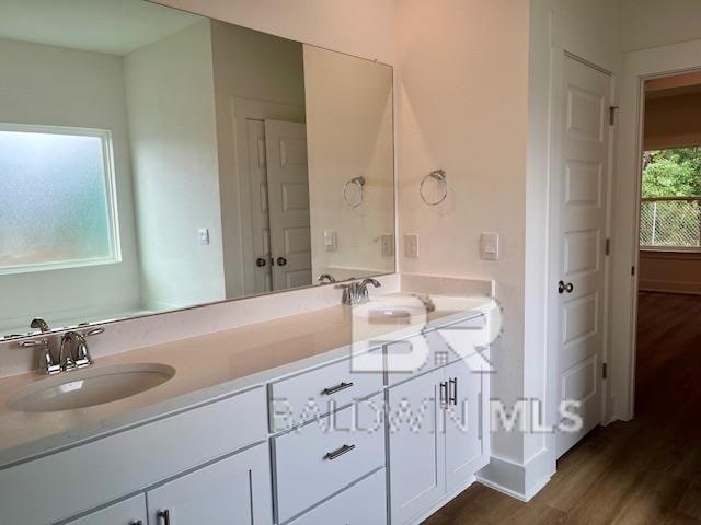 bathroom with vanity and hardwood / wood-style flooring