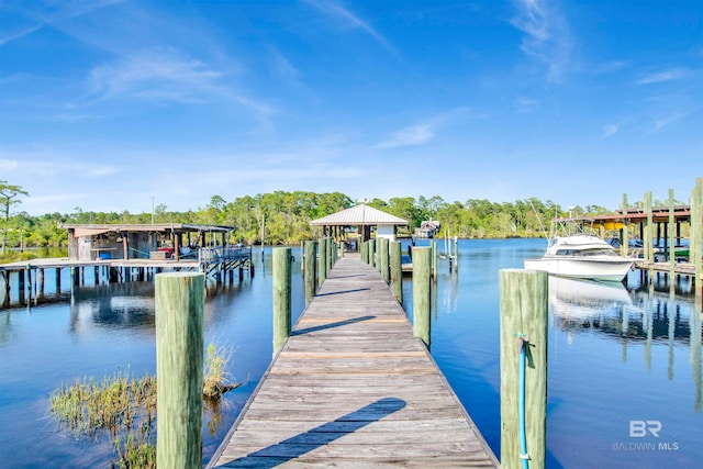 dock area with a water view