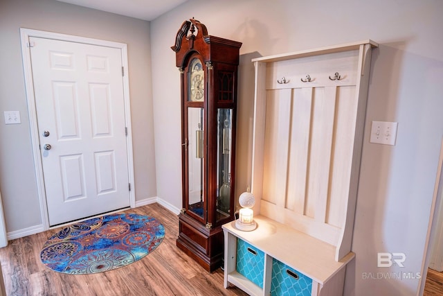 mudroom featuring baseboards and wood finished floors