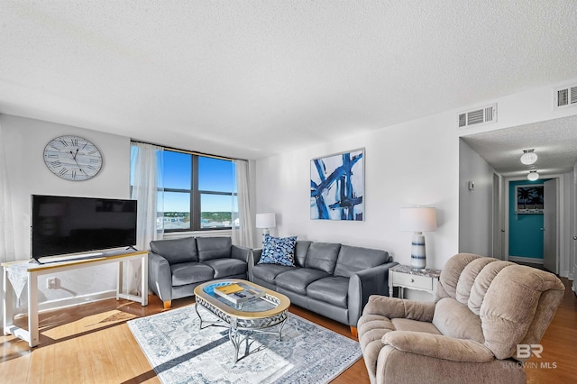 living room featuring hardwood / wood-style floors and a textured ceiling