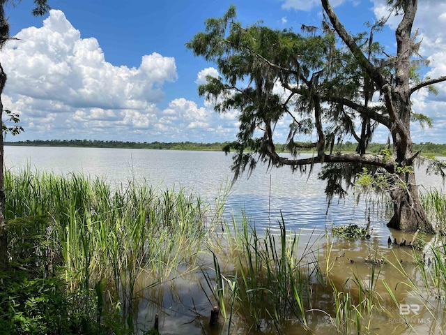 11569 Thistledown Loop, Spanish Fort, AL 36527 - water view