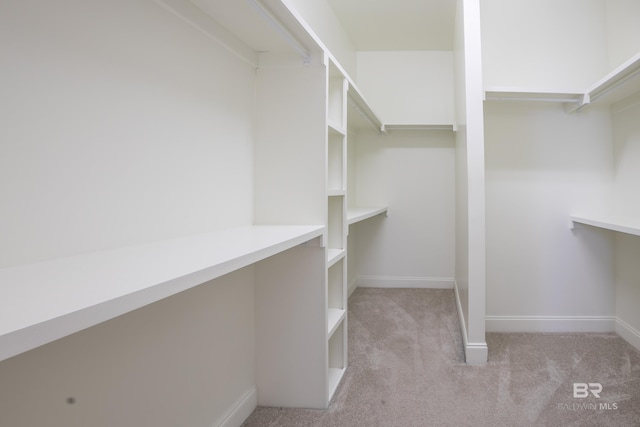 spacious closet with light carpet