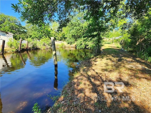 13745 Seaman Ave, Bayou La Batre AL, 36509 land for sale