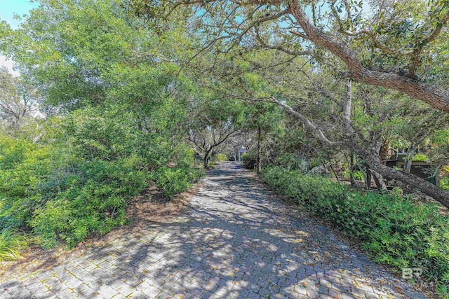 view of street with decorative driveway