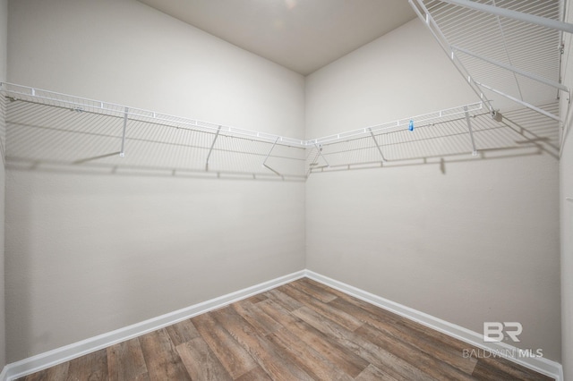 spacious closet featuring wood finished floors