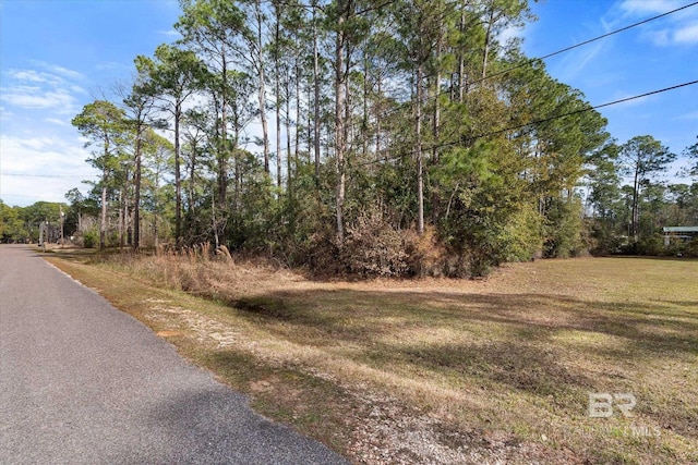 0 Morris Dr, Coden AL, 36523 land for sale