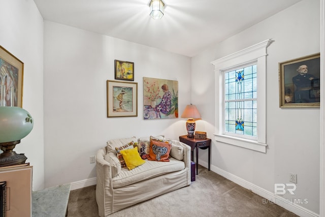 sitting room featuring carpet flooring