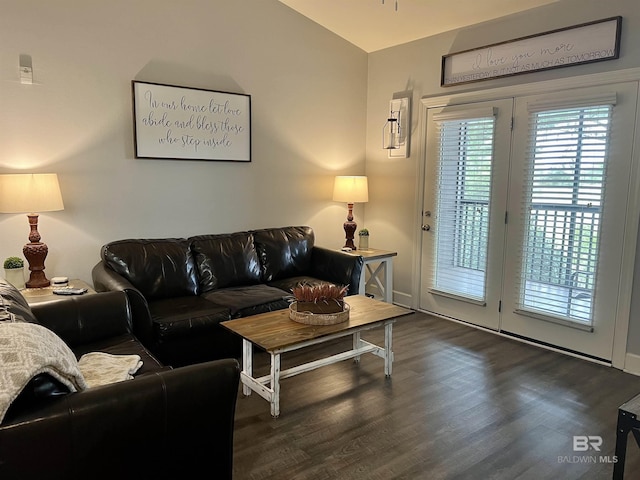 living room featuring dark wood-type flooring