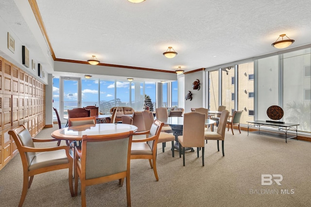 carpeted dining room with ornamental molding and a textured ceiling