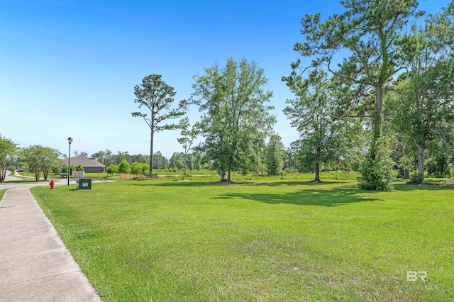 6950 Summerset Dr, Gulf Shores, AL 36542 - view of green lawn
