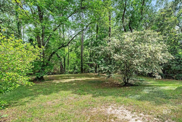 view of yard with a wooded view
