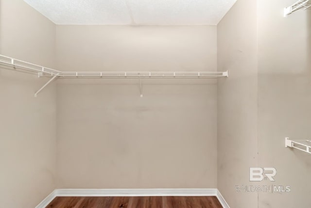 walk in closet featuring hardwood / wood-style flooring