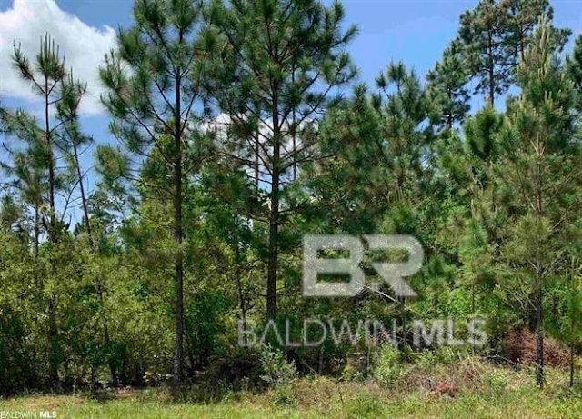 0 Weatherly Cv, Spanish Fort AL, 36527 land for sale