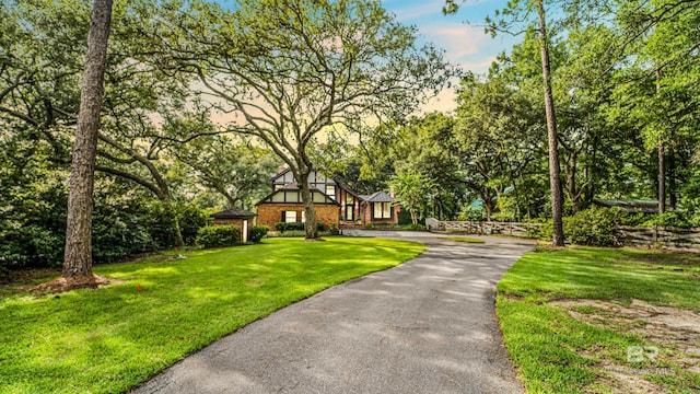 view of front of home with a front yard