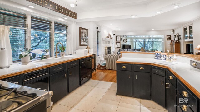 kitchen with sink, dishwasher, light wood-type flooring, and crown molding