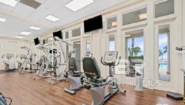 gym featuring a drop ceiling and wood-type flooring