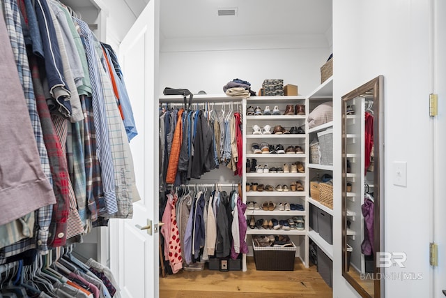 313 Cuban Lily Dr, Fairhope, AL 36532 - walk in closet with wood finished floors