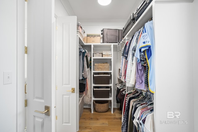 313 Cuban Lily Dr, Fairhope, AL 36532 - walk in closet featuring wood finished floors