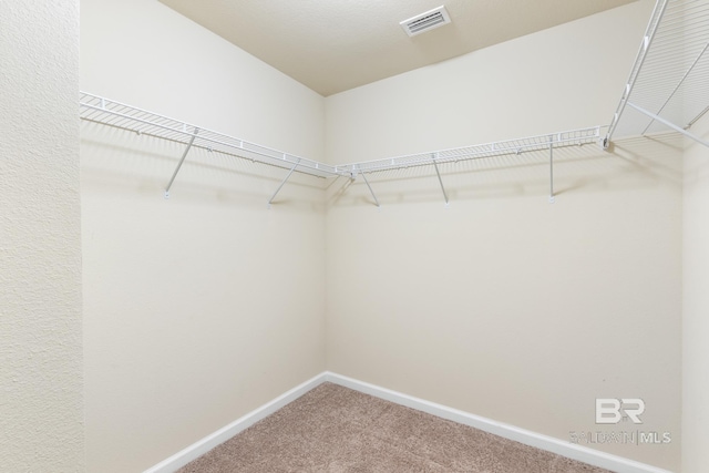 spacious closet with carpet flooring