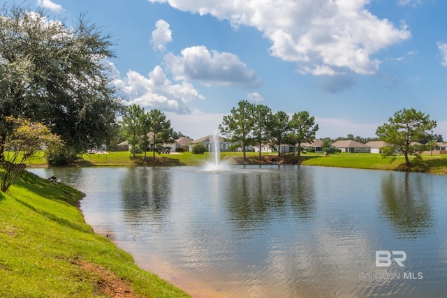 view of water feature