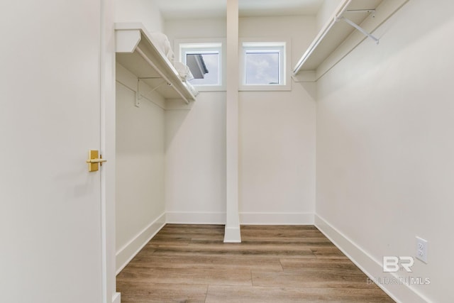 walk in closet featuring wood finished floors