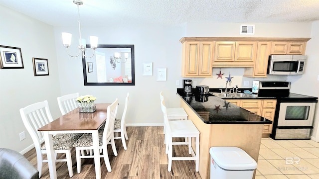 kitchen with appliances with stainless steel finishes, hanging light fixtures, a textured ceiling, a chandelier, and sink