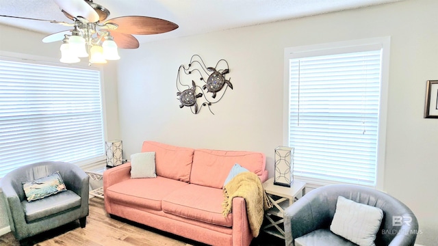 living room featuring a healthy amount of sunlight and light hardwood / wood-style flooring