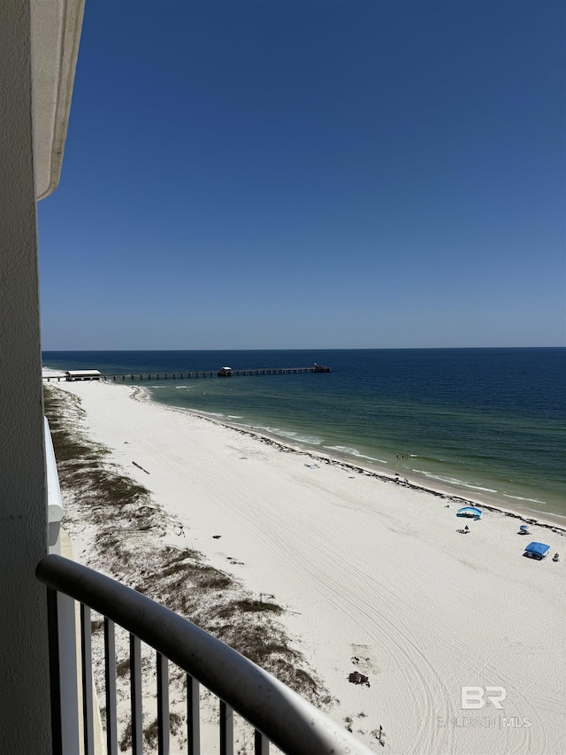water view featuring a beach view