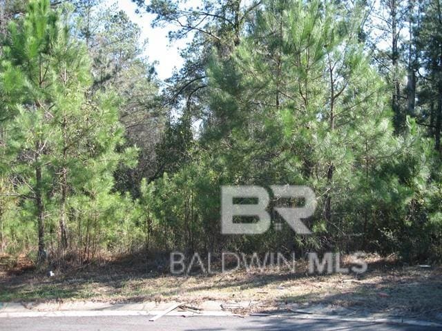 0 Wilkins Creek Ct, Spanish Fort AL, 36527 land for sale