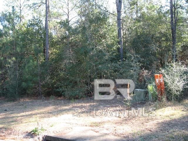 Listing photo 2 for 0 Wilkins Creek Ct, Spanish Fort AL 36527