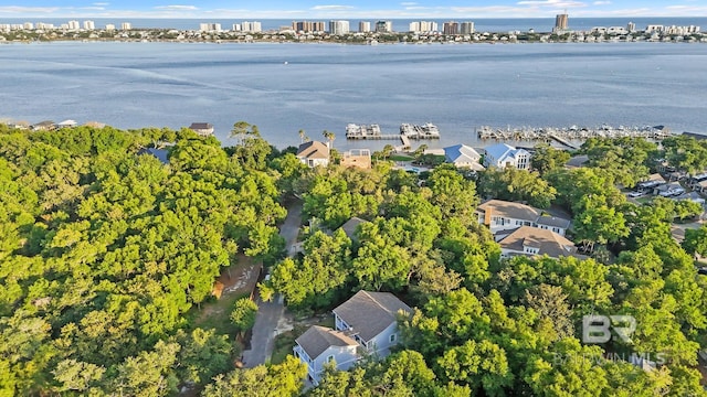 5024 Certain Cir, Orange Beach, AL 36561