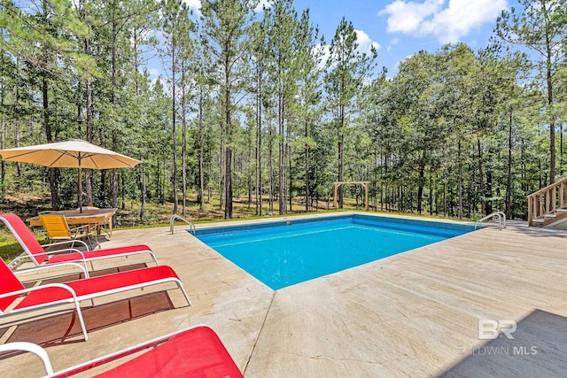 view of swimming pool