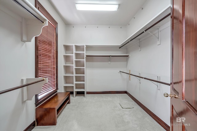 walk in closet featuring light carpet