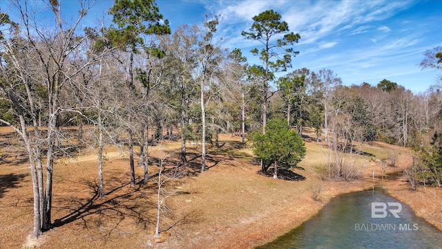 view of local wilderness with a water view