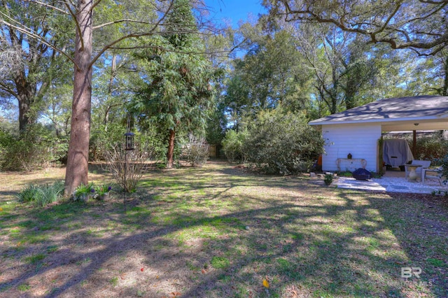 view of yard with a patio area