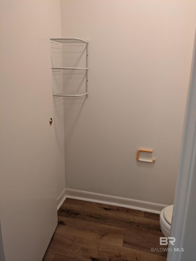 spacious closet featuring dark wood-type flooring