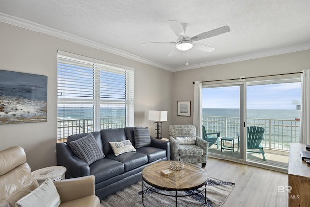 living room featuring ceiling fan, wood finished floors, and ornamental molding