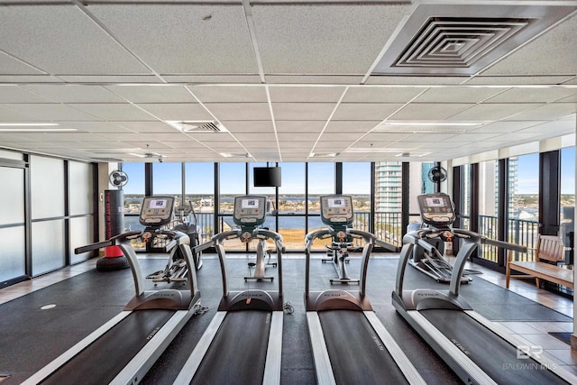 workout area featuring a paneled ceiling, a healthy amount of sunlight, and a wall of windows