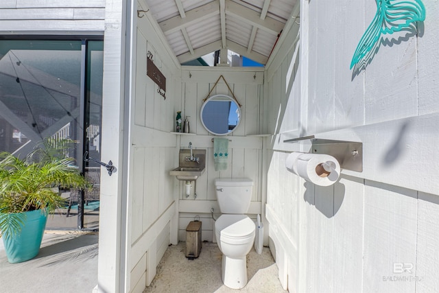 bathroom featuring lofted ceiling, toilet, and speckled floor