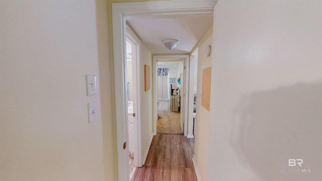 28835 Perdido Beach Blvd Unit 309, Orange Beach, AL 36561 - hallway with light wood finished floors and baseboards