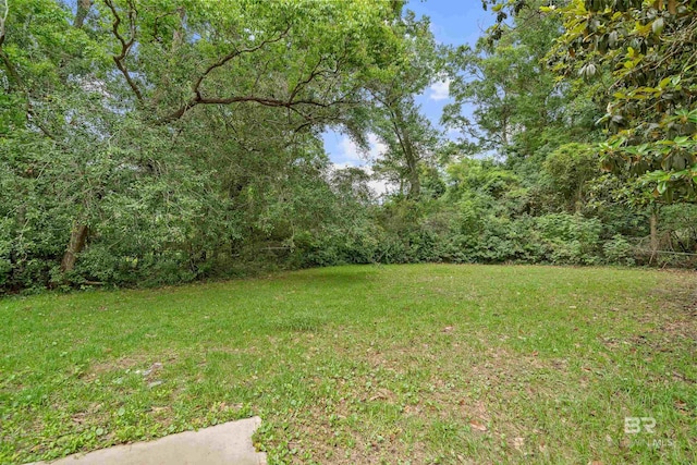 1716 Bryan Ave, Mobile, AL 36605 - view of green lawn