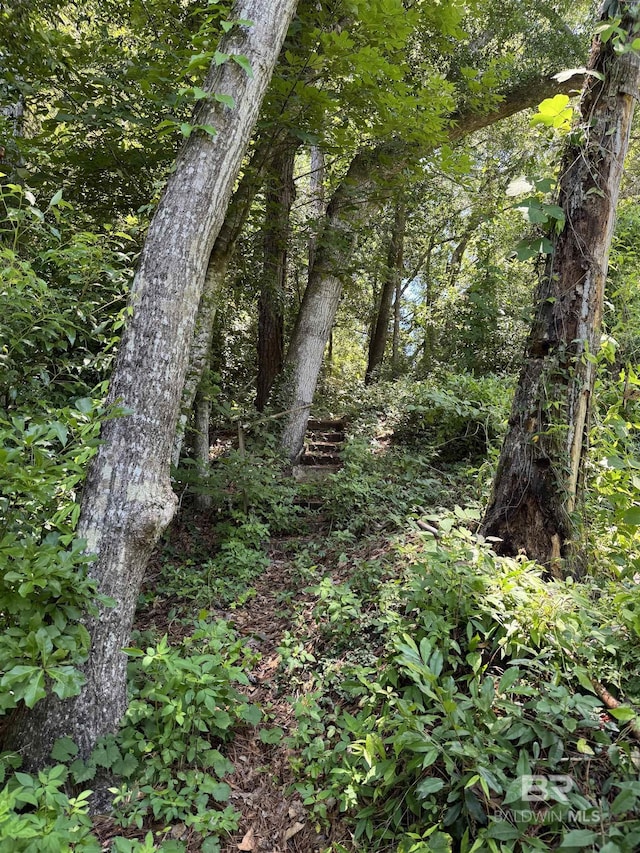 503 N Mobile St, Fairhope, AL 36532 - view of landscape