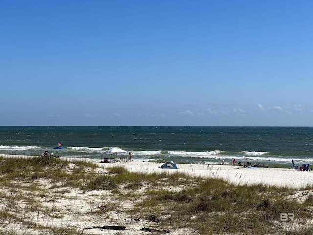 property view of water with a beach view