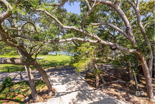 9264 Brighton Ave, Elberta, AL 36530 - view of grassy yard featuring a water view