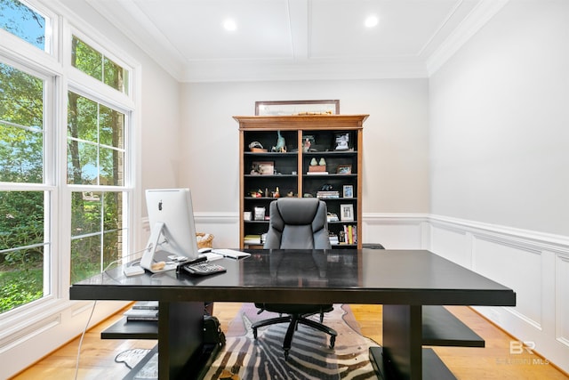 office featuring crown molding and light hardwood / wood-style flooring