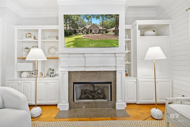 living room with built in shelves, light hardwood / wood-style floors, and a premium fireplace