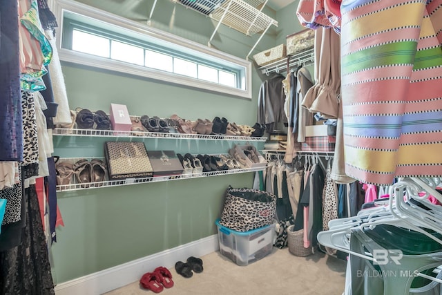 spacious closet with carpet floors