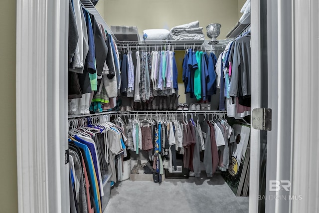 walk in closet with light colored carpet